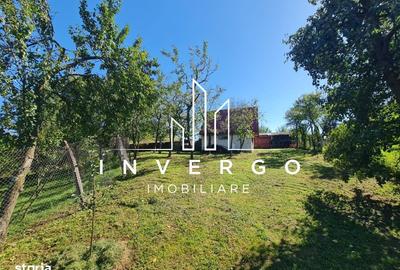 Casă cu 4 camere decomandat cu Teren 1200 Mp în Sava - 13