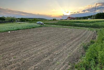 Spațiu comercial, în Dealu - 4