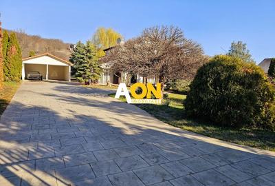 Casă individuală cu 6 camere cu Canalizare în Cetate - 25