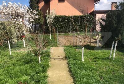 Casa cu 3 camere si anexe, 170 mp, zona Carpati 2 - 16