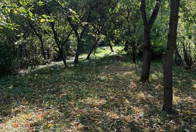 Casă cu 4 camere în Central - 7