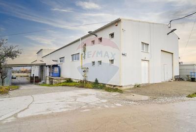 Hala industriala - investitie stabila sau potential operational - 5