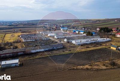 Teren de 39600 mp, în Traian - 11