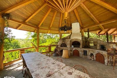 Casă cu 6 camere cu Teren 17000 Mp în Dumbrăvița - 8