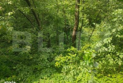 Spațiu comercial, în Central