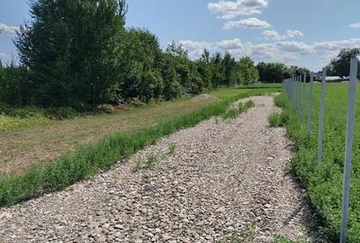 Spațiu comercial, în Ghighiu - 5