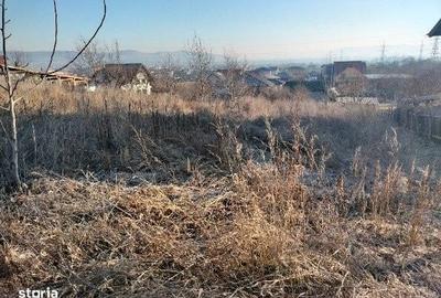 Spațiu comercial, în Cetate - 2