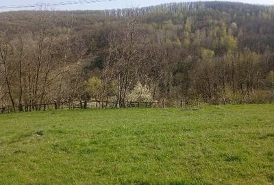 Teren Construcții intravilan de 1000 mp, în Meteș - 1