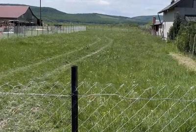 Teren de 14000 mp, în Chintelnic - 1