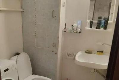 Garsonieră în Șagului