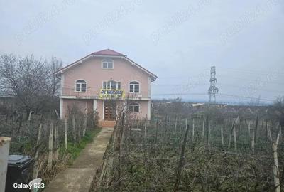 Casă cu 6 camere cu Teren 15000 Mp în Galata - 20