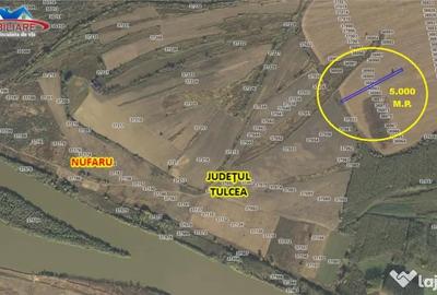 Teren de 29000 mp, în Nufăru - 3