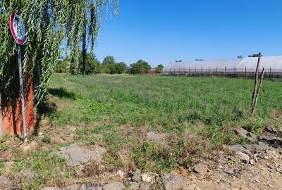 Teren intravilan , liber , zona linistita , civilizata , 40 km de Bucuresti - 3