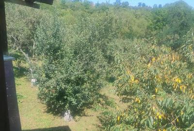 Casă cu 4 camere în Cacova Ierii - 3