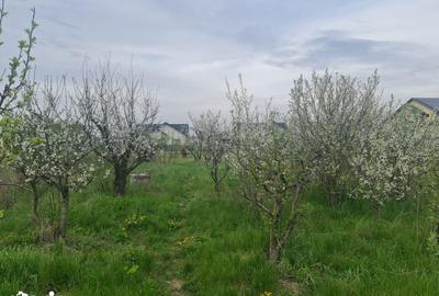 Teren de 670 mp, în Hemeiuș - 2