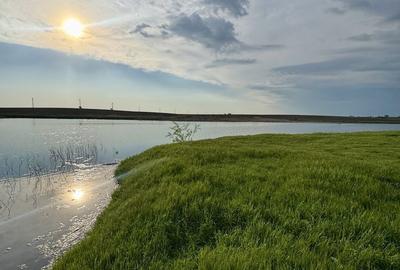 Teren de 120000 mp, în Drăgănești-Vlașca