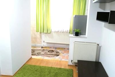 Garsonieră semidecomandată, mobilată în Dumbrava 2 - 4