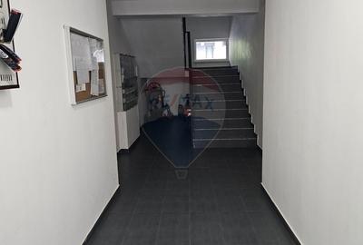 Apartament cu 2 camere decomandat, mobilat în Sfântu Ilie - 23