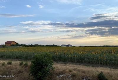 Tamasi, langa padure, 12.824 mp, deschidere 45 ml, teren cu potential! - 10