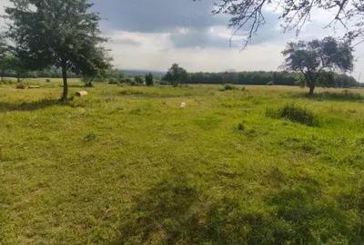 Casa+teren 5000mp, 70ml la DN 2E, zona Cacica, Radauti - 12