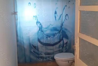 Vand casa batraneasca renovata, in Udupu Teleorman - 5