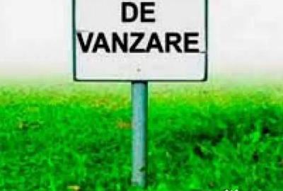 Teren de 5000 mp, în Rădăuți - 1