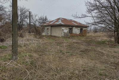 Casă cu Teren 4900 Mp în Tătăranu - 9