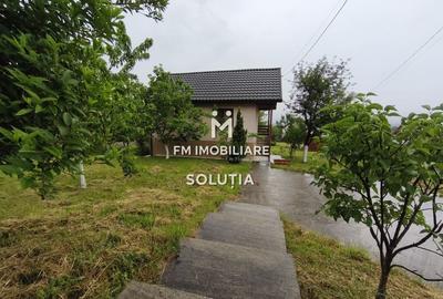 Casă P+1 de vânzare în Cicârlău – zonă superbă, 11 ari teren! - 13