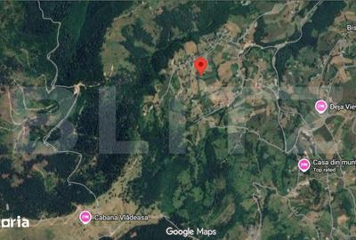 Teren de 1641 mp, în Săcuieu - 5