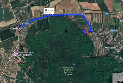 Teren intravilan 2000 mp,  Silistea Snagovului - Front PADURE( 38 ml Front - 4