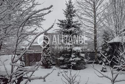 BREBU/PRAHOVA(cod04)-Casa P+1 zona mirifica - 13