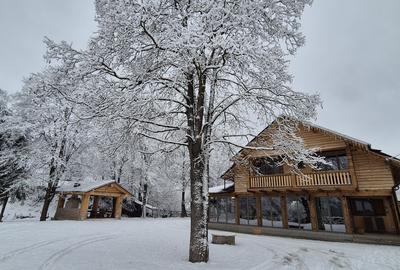 Casă cu 4 camere în Sadova - 1