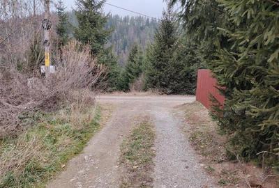Teren intravilan Gheorgheni (str. Szarvas, zona km4) - 2