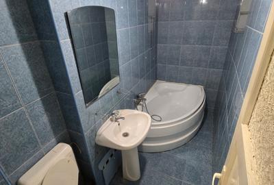 Apartament cu 2 camere semidecomandat, mobilat în Giurgiului - 13