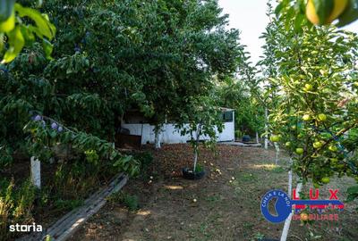 Casă cu 4 camere cu Teren 923 Mp în Niculițel - 3