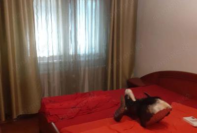 Apartament cu 3 camere decomandat în Complex Studențesc - 4