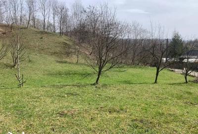 Teren de 5500 mp, în Provița de Sus
