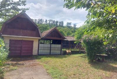 Casa cu gradina in Blaj - 4