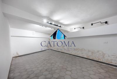 Parcul Carol / Casa individuala / renovata / investitie /  mutare imediata ! - 29