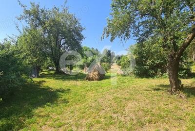 Teren Construcții intravilan de 6348 mp, în Corbeni - 9