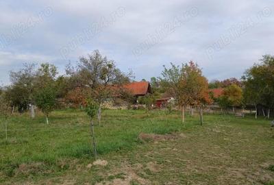 Casă cu 1 camere în Crocna - 3