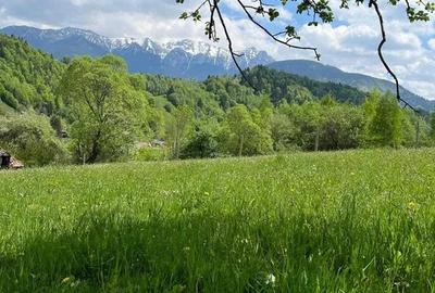 PROPRIETAR - 3274 mp intravilan Simon (BRAN) - 8