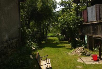 Vand teren intravilan de 12 ari - cu casa (nelocuibila) + curte + gradina - Nasaud, Bistri?a-Nasaud Vand teren intravilan de 12 ari - cu casa (nelocuibila) + curte + gradina - Nasaud, Bistri?a-Nasaud - 2
