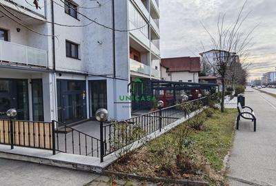 Spatiu Comercial/Dem Radulescu - 13