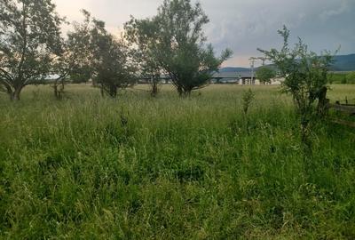 Teren Construcții intravilan de 10500 mp, în Exterior Nord - 2