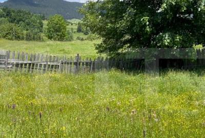 Teren de 1346 mp, în Colibița - 9