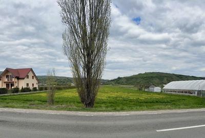 Teren de 4000 mp, în Oituz - 1