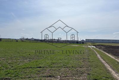 Teren agricol extravilan de 5000 mp, în Est - 2