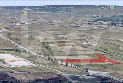 Teren Construcții extravilan de 16232 mp, în Șelimbăr - 6