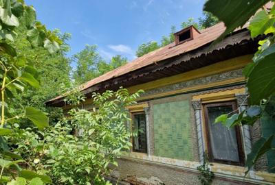 Teren 5.725 m Tomsani, Dambovi?a, la drum jude?ean - 4